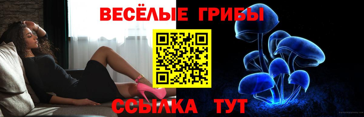 Галлюциногенные грибы Psilocybine cubensis  где купить наркотик  Галлюциногенные грибы Magic Shrooms  Уссурийск  Вход с VPN 